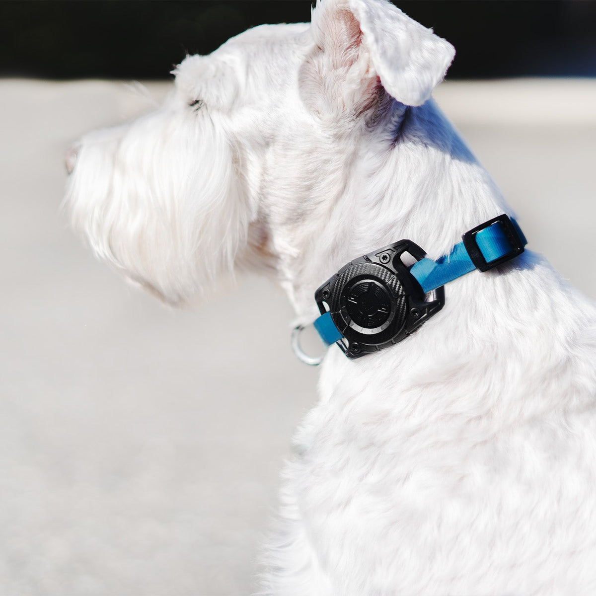 LOGiiX AirTag Case for Pet Collars